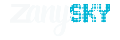 Zanysky Logo